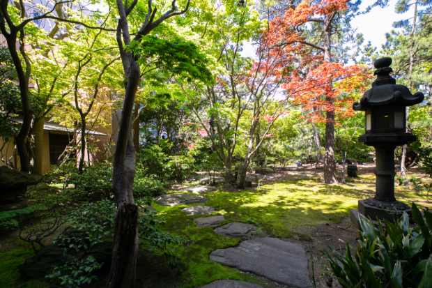 日本庭園