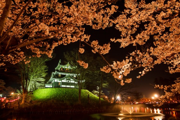 高田城百万人観桜会（高田公園）